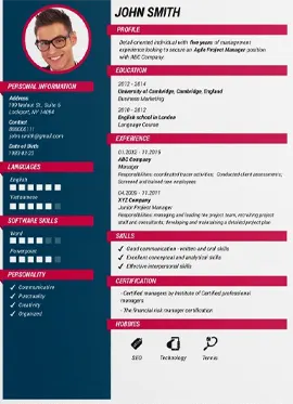 CV Example 7